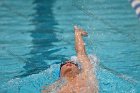 Swimming & Diving vs Babson  Swimming & Diving vs Babson College. - Photo by Keith Nordstrom : Wheaton, Swimming